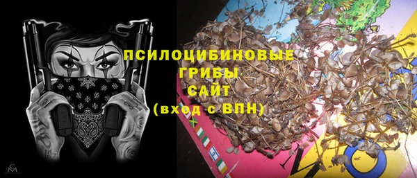 хмурый Вязьма