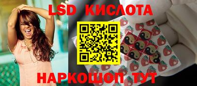 стаф Камышлов