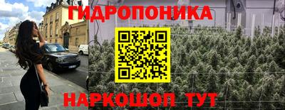 стаф Камышлов