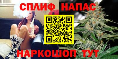 ПСИЛОЦИБИНОВЫЕ ГРИБЫ Кандалакша