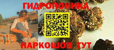 ПСИЛОЦИБИНОВЫЕ ГРИБЫ Кандалакша