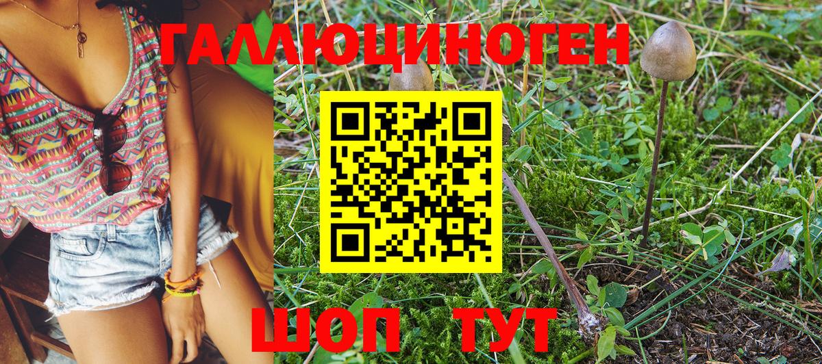 Псилоцибиновые грибы Magic Shrooms Железногорск