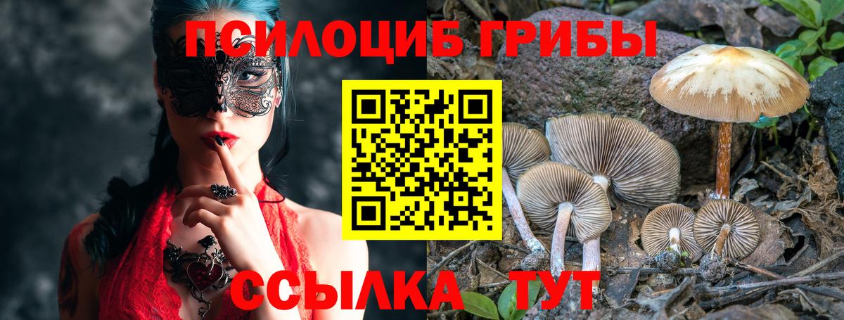 Железногорск  Псилоцибиновые грибы Psilocybe  Вход с VPN  Галлюциногенные грибы Psilocybine cubensis 
